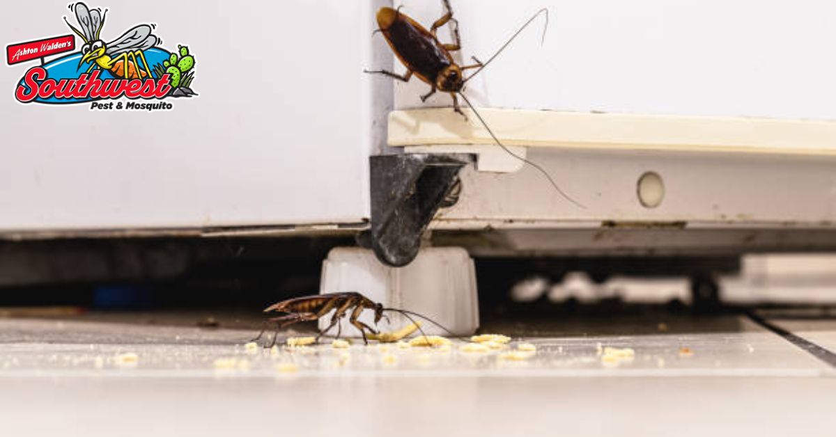 The Hidden Dangers of Ignoring a Small Pest Problem
